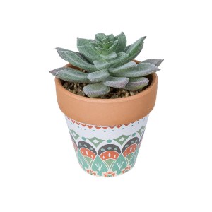 glo-21041-21041_2 GLOBOSTAR® ARTIFICIAL GARDEN SUCCULENT SEDEVERIA POTTED PLANT 21041 ΔΙΑΚΟΣΜΗΤΙΚΟ ΦΥΤΟ ΣΕΔΕ