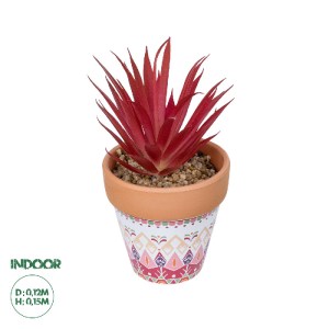 glo-21042-21042_0 GLOBOSTAR® ARTIFICIAL GARDEN AIR PLANT NEOPHYTUM POTTED PLANT 21042 ΔΙΑΚΟΣΜΗΤΙΚΟ ΦΥΤΟ ΝΕΟΦ