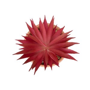 glo-21042-21042_3 GLOBOSTAR® ARTIFICIAL GARDEN AIR PLANT NEOPHYTUM POTTED PLANT 21042 ΔΙΑΚΟΣΜΗΤΙΚΟ ΦΥΤΟ ΝΕΟΦ