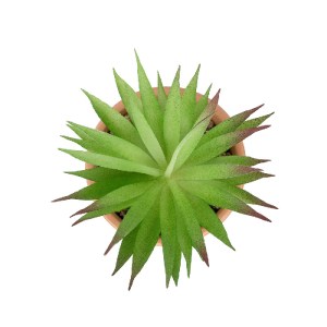 glo-21043-21043_3 GLOBOSTAR® ARTIFICIAL GARDEN AIR PLANT NEOPHYTUM POTTED PLANT 21043 ΔΙΑΚΟΣΜΗΤΙΚΟ ΦΥΤΟ ΝΕΟΦ