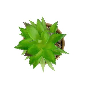 glo-21044-21044_3 GLOBOSTAR® ARTIFICIAL GARDEN SUCCULENT ALOE POTTED PLANT 21044 ΔΙΑΚΟΣΜΗΤΙΚΟ ΦΥΤΟ ΑΛΟΗ Φ12 