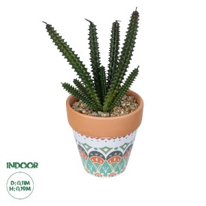 glo-21045-21045_0 GLOBOSTAR® ARTIFICIAL GARDEN SUCCULENT EUPHORBIA POTTED PLANT 21045 ΔΙΑΚΟΣΜΗΤΙΚΟ ΦΥΤΟ ΕΥΦΟ