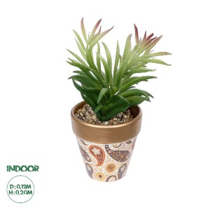 glo-21046-21046_0 GLOBOSTAR® ARTIFICIAL GARDEN SUCCULENT CRASSULA POTTED PLANT 21046 ΔΙΑΚΟΣΜΗΤΙΚΟ ΦΥΤΟ ΚΡΑΣΟ