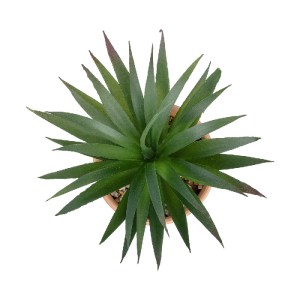 glo-21047-21047_3 GLOBOSTAR® ARTIFICIAL GARDEN SUCCULENT SANSEVIERIA POTTED PLANT 21047 ΔΙΑΚΟΣΜΗΤΙΚΟ ΦΥΤΟ ΣΑ