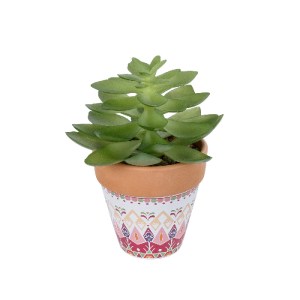 glo-21048-21048_2 GLOBOSTAR® ARTIFICIAL GARDEN SUCCULENT ECHEVERIA POTTED PLANT 21048 ΔΙΑΚΟΣΜΗΤΙΚΟ ΦΥΤΟ ΕΧΕΒ