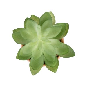 glo-21048-21048_3 GLOBOSTAR® ARTIFICIAL GARDEN SUCCULENT ECHEVERIA POTTED PLANT 21048 ΔΙΑΚΟΣΜΗΤΙΚΟ ΦΥΤΟ ΕΧΕΒ