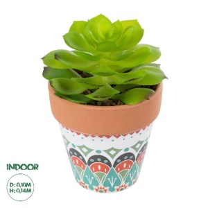 glo-21049-21049_0 GLOBOSTAR® ARTIFICIAL GARDEN SUCCULENT ECHEVERIA 21049 ΔΙΑΚΟΣΜΗΤΙΚΟ ΦΥΤΟ ΠΑΧΥΦΥΤΟ ΕΧΕΒΕΡΙΑ
