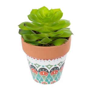 glo-21049-21049_2 GLOBOSTAR® ARTIFICIAL GARDEN SUCCULENT ECHEVERIA 21049 ΔΙΑΚΟΣΜΗΤΙΚΟ ΦΥΤΟ ΠΑΧΥΦΥΤΟ ΕΧΕΒΕΡΙΑ