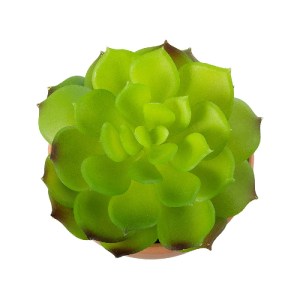glo-21049-21049_3 GLOBOSTAR® ARTIFICIAL GARDEN SUCCULENT ECHEVERIA 21049 ΔΙΑΚΟΣΜΗΤΙΚΟ ΦΥΤΟ ΠΑΧΥΦΥΤΟ ΕΧΕΒΕΡΙΑ