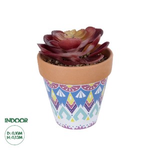 glo-21050-21050_0 GLOBOSTAR® ARTIFICIAL GARDEN SUCCULENT ECHEVERIA POTTED PLANT 21050 ΔΙΑΚΟΣΜΗΤΙΚΟ ΦΥΤΟ ΕΧΕΒ