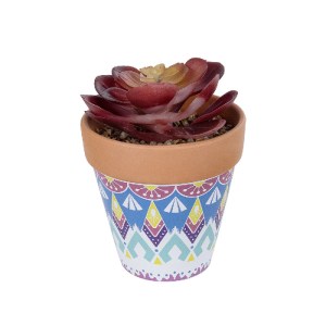 glo-21050-21050_2 GLOBOSTAR® ARTIFICIAL GARDEN SUCCULENT ECHEVERIA POTTED PLANT 21050 ΔΙΑΚΟΣΜΗΤΙΚΟ ΦΥΤΟ ΕΧΕΒ