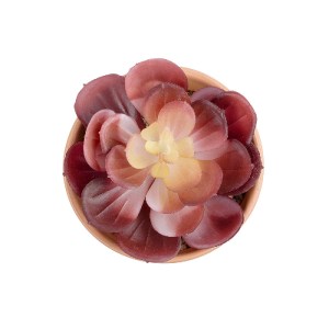 glo-21050-21050_3 GLOBOSTAR® ARTIFICIAL GARDEN SUCCULENT ECHEVERIA POTTED PLANT 21050 ΔΙΑΚΟΣΜΗΤΙΚΟ ΦΥΤΟ ΕΧΕΒ