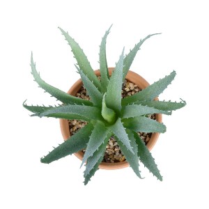 glo-21053-21053_3 GLOBOSTAR® ARTIFICIAL GARDEN SUCCULENT ALOE POTTED PLANT 21053 ΔΙΑΚΟΣΜΗΤΙΚΟ ΦΥΤΟ ΑΛΟΗ  Φ15