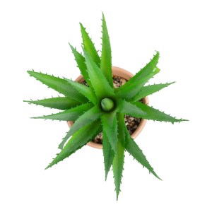 glo-21054-21054_3 GLOBOSTAR® ARTIFICIAL GARDEN SUCCULENT ALOE POTTED PLANT 21054 ΔΙΑΚΟΣΜΗΤΙΚΟ ΦΥΤΟ ΑΛΟΗ  Φ15