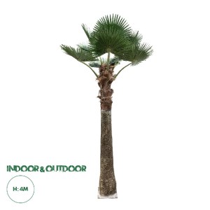 glo-21055-21055_0 GLOBOSTAR® ARTIFICIAL GARDEN PLANT PALM TREE 21055 ΔΙΑΚΟΣΜΗΤΙΚΟ ΔΕΝΤΡΟ ΦΟΙΝΙΚΑ  Φ240 X Υ40