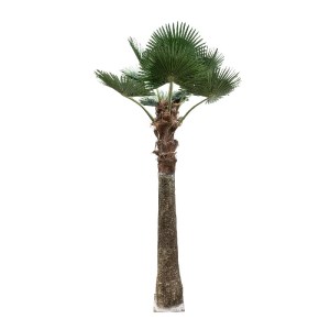 glo-21055-21055_2 GLOBOSTAR® ARTIFICIAL GARDEN PLANT PALM TREE 21055 ΔΙΑΚΟΣΜΗΤΙΚΟ ΔΕΝΤΡΟ ΦΟΙΝΙΚΑ  Φ240 X Υ40