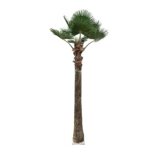 glo-21056-21056_2 GLOBOSTAR® ARTIFICIAL GARDEN PLANT PALM TREE 21056 ΔΙΑΚΟΣΜΗΤΙΚΟ ΔΕΝΤΡΟ ΦΟΙΝΙΚΑ  Φ240 X Υ50