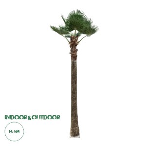 glo-21057-21057_0 GLOBOSTAR® ARTIFICIAL GARDEN PLANT PALM TREE 21057 ΔΙΑΚΟΣΜΗΤΙΚΟ ΔΕΝΤΡΟ ΦΟΙΝΙΚΑ  Φ240 X Υ60