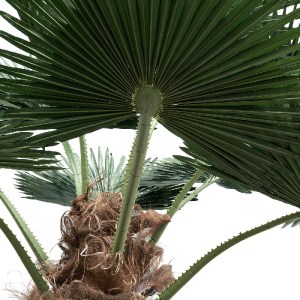 glo-21057-21057_3 GLOBOSTAR® ARTIFICIAL GARDEN PLANT PALM TREE 21057 ΔΙΑΚΟΣΜΗΤΙΚΟ ΔΕΝΤΡΟ ΦΟΙΝΙΚΑ  Φ240 X Υ60