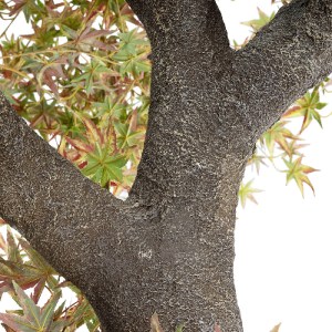 glo-21058-21058_4 GLOBOSTAR® ARTIFICIAL GARDEN MAPLE TREE 21058 ΤΕΧΝΗΤΟ ΔΙΑΚΟΣΜΗΤΙΚΟ ΔΕΝΤΡΟ ΣΦΕΝΔΑΜΟΣ Υ400CM