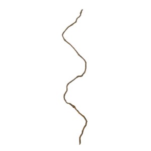 glo-21067-21067_2.webp GLOBOSTAR® ARTIFICIAL GARDEN DRY VINE 21067 ΤΕΧΝΗΤΟ ΔΙΑΚΟΣΜΗΤΙΚΟ ΚΛΑΔΙ ΞΗΡΟ ΑΜΠΕΛΙ Μ8 X Π8