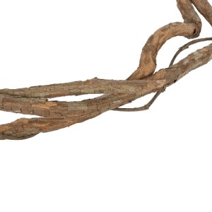 glo-21067-21067_6.webp GLOBOSTAR® ARTIFICIAL GARDEN DRY VINE 21067 ΤΕΧΝΗΤΟ ΔΙΑΚΟΣΜΗΤΙΚΟ ΚΛΑΔΙ ΞΗΡΟ ΑΜΠΕΛΙ Μ8 X Π8