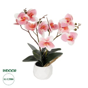 glo-21075-21075_0.webp GLOBOSTAR® ARTIFICIAL GARDEN PINK ORCHID 21075 ΔΙΑΚΟΣΜΗΤΙΚΟ ΦΥΤΟ ΡΟΖ ΟΡΧΙΔΕΑ  Υ30CM