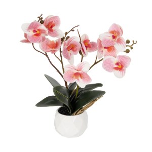 glo-21075-21075_2.webp GLOBOSTAR® ARTIFICIAL GARDEN PINK ORCHID 21075 ΔΙΑΚΟΣΜΗΤΙΚΟ ΦΥΤΟ ΡΟΖ ΟΡΧΙΔΕΑ  Υ30CM