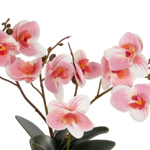 glo-21075-21075_3.webp GLOBOSTAR® ARTIFICIAL GARDEN PINK ORCHID 21075 ΔΙΑΚΟΣΜΗΤΙΚΟ ΦΥΤΟ ΡΟΖ ΟΡΧΙΔΕΑ  Υ30CM