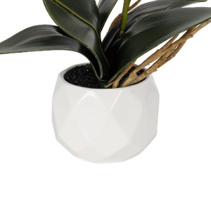 glo-21075-21075_4.webp GLOBOSTAR® ARTIFICIAL GARDEN PINK ORCHID 21075 ΔΙΑΚΟΣΜΗΤΙΚΟ ΦΥΤΟ ΡΟΖ ΟΡΧΙΔΕΑ  Υ30CM