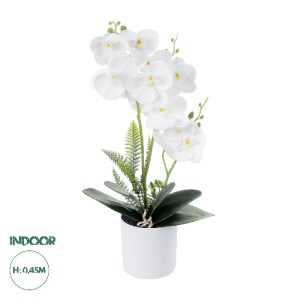 glo-21076-21076_0 GLOBOSTAR® ARTIFICIAL GARDEN WHITE ORCHID 21076 ΔΙΑΚΟΣΜΗΤΙΚΟ ΦΥΤΟ ΛΕΥΚΗ ΟΡΧΙΔΕΑ Υ45CM