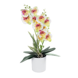 glo-21078-21078_2 GLOBOSTAR® ARTIFICIAL GARDEN WHITE - FUCHSIA ORCHID 21078 ΔΙΑΚΟΣΜΗΤΙΚΟ ΦΥΤΟ ΛΕΥΚΗ - ΦΟΥΞΙΑ