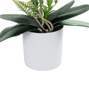 glo-21078-21078_4 GLOBOSTAR® ARTIFICIAL GARDEN WHITE - FUCHSIA ORCHID 21078 ΔΙΑΚΟΣΜΗΤΙΚΟ ΦΥΤΟ ΛΕΥΚΗ - ΦΟΥΞΙΑ