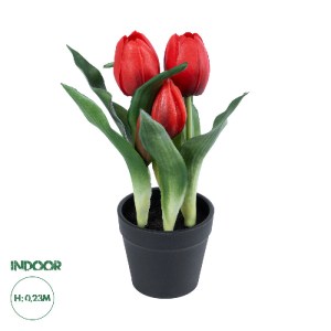 glo-21094-21094_0 GLOBOSTAR® ARTIFICIAL GARDEN RED TULIP 21094 ΔΙΑΚΟΣΜΗΤΙΚΟ ΦΥΤΟ ΚΟΚΚΙΝΗ ΤΟΥΛΙΠΑ Υ23CM