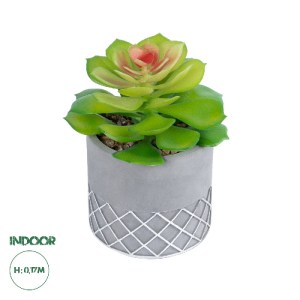 glo-21095-21095_0 GLOBOSTAR® ARTIFICIAL GARDEN SUCCULENT SEDEVERIA 21095 ΔΙΑΚΟΣΜΗΤΙΚΟ ΦΥΤΟ ΠΑΧΥΦΥΤΟ ΣΕΝΤΕΒΕΡ