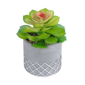 glo-21095-21095_2 GLOBOSTAR® ARTIFICIAL GARDEN SUCCULENT SEDEVERIA 21095 ΔΙΑΚΟΣΜΗΤΙΚΟ ΦΥΤΟ ΠΑΧΥΦΥΤΟ ΣΕΝΤΕΒΕΡ