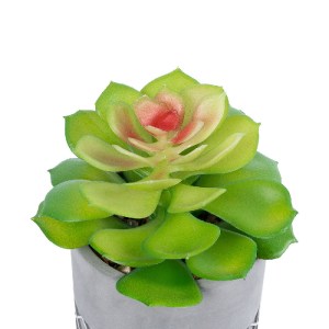 glo-21095-21095_3 GLOBOSTAR® ARTIFICIAL GARDEN SUCCULENT SEDEVERIA 21095 ΔΙΑΚΟΣΜΗΤΙΚΟ ΦΥΤΟ ΠΑΧΥΦΥΤΟ ΣΕΝΤΕΒΕΡ