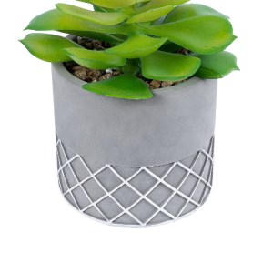 glo-21095-21095_4 GLOBOSTAR® ARTIFICIAL GARDEN SUCCULENT SEDEVERIA 21095 ΔΙΑΚΟΣΜΗΤΙΚΟ ΦΥΤΟ ΠΑΧΥΦΥΤΟ ΣΕΝΤΕΒΕΡ