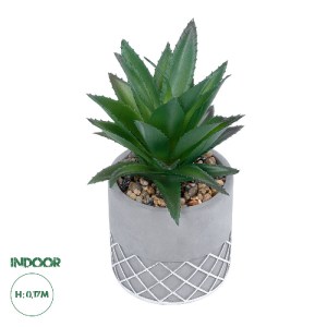 glo-21096-21096_0 GLOBOSTAR® ARTIFICIAL GARDEN SUCCULENT ALOE 21096 ΔΙΑΚΟΣΜΗΤΙΚΟ ΦΥΤΟ ΠΑΧΥΦΥΤΟ ΑΛΟΗ Υ17CM