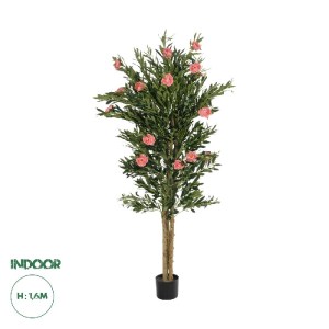 glo-21097-21097_0.webp GLOBOSTAR® ARTIFICIAL GARDEN PINK PEONY 21097 ΤΕΧΝΗΤΟ ΔΙΑΚΟΣΜΗΤΙΚΟ ΔΕΝΤΡΟ ΠΑΙΩΝΙΑ Μ80 X Π7