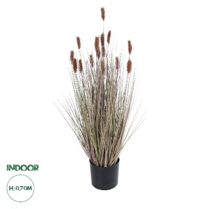 glo-21099-21099_0 GLOBOSTAR® ARTIFICIAL GARDEN BROWN LAGURUS 21099 ΔΙΑΚΟΣΜΗΤΙΚΟ ΦΥΤΟ ΚΑΦΕ ΛΑΓΟΟΥΡΑ Υ70CM