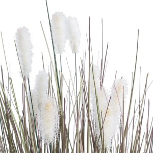 glo-21100-21100_3 GLOBOSTAR® ARTIFICIAL GARDEN BEIGE LAGURU 21100 ΔΙΑΚΟΣΜΗΤΙΚΟ ΦΥΤΟ ΜΠΕΖ ΛΑΓΟΟΥΡΑ Υ70CM