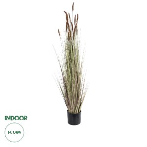 glo-21101-21101_0 GLOBOSTAR® ARTIFICIAL GARDEN BROWN LAGURUS 21101 ΔΙΑΚΟΣΜΗΤΙΚΟ ΦΥΤΟ ΚΑΦΕ ΛΑΓΟΟΥΡΑ Υ140CM