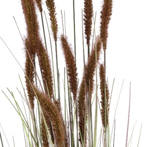 glo-21101-21101_3 GLOBOSTAR® ARTIFICIAL GARDEN BROWN LAGURUS 21101 ΔΙΑΚΟΣΜΗΤΙΚΟ ΦΥΤΟ ΚΑΦΕ ΛΑΓΟΟΥΡΑ Υ140CM