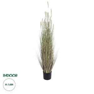 glo-21102-21102_0 GLOBOSTAR® ARTIFICIAL GARDEN BEIGE LAGURUS 21102 ΔΙΑΚΟΣΜΗΤΙΚΟ ΦΥΤΟ ΜΠΕΖ ΛΑΓΟΟΥΡΑ Υ140CM