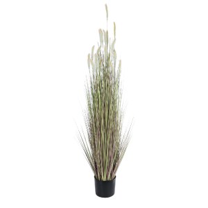 glo-21102-21102_2 GLOBOSTAR® ARTIFICIAL GARDEN BEIGE LAGURUS 21102 ΔΙΑΚΟΣΜΗΤΙΚΟ ΦΥΤΟ ΜΠΕΖ ΛΑΓΟΟΥΡΑ Υ140CM