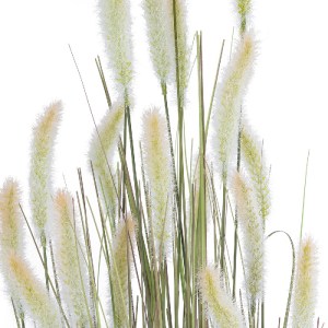 glo-21102-21102_3 GLOBOSTAR® ARTIFICIAL GARDEN BEIGE LAGURUS 21102 ΔΙΑΚΟΣΜΗΤΙΚΟ ΦΥΤΟ ΜΠΕΖ ΛΑΓΟΟΥΡΑ Υ140CM