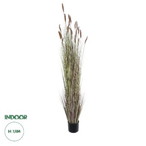 glo-21103-21103_0 GLOBOSTAR® ARTIFICIAL GARDEN BROWN LAGURUS 21103 ΔΙΑΚΟΣΜΗΤΙΚΟ ΦΥΤΟ ΚΑΦΕ ΛΑΓΟΟΥΡΑ Υ180CM