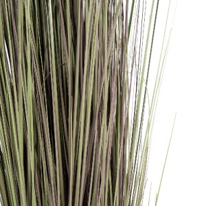 glo-21103-21103_4 GLOBOSTAR® ARTIFICIAL GARDEN BROWN LAGURUS 21103 ΔΙΑΚΟΣΜΗΤΙΚΟ ΦΥΤΟ ΚΑΦΕ ΛΑΓΟΟΥΡΑ Υ180CM