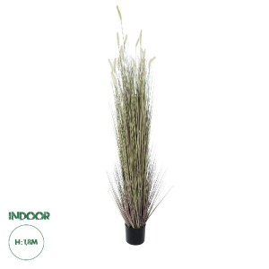 glo-21104-21104_0 GLOBOSTAR® ARTIFICIAL GARDEN BEIGE LAGURUS 21104 ΔΙΑΚΟΣΜΗΤΙΚΟ ΦΥΤΟ ΜΠΕΖ ΛΑΓΟΟΥΡΑ Υ180CM